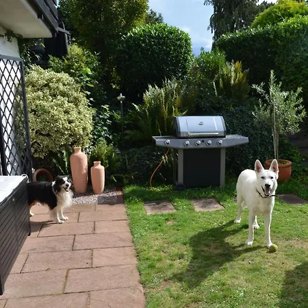 Burgblick Апартаменты