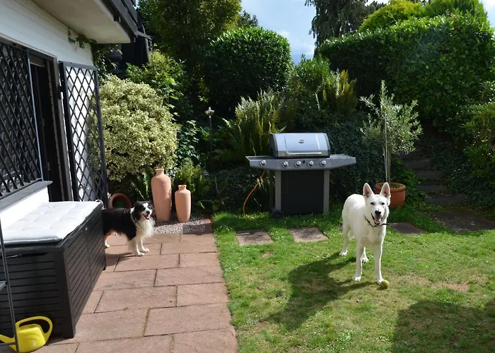 Burgblick Апартаменты